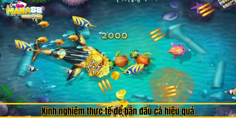 Mẹo bắn “bách phát bách trúng” vào đầu cá tại Mana88 3 Kinh nghiệm thực tế để bắn đầu cá hiệu quả