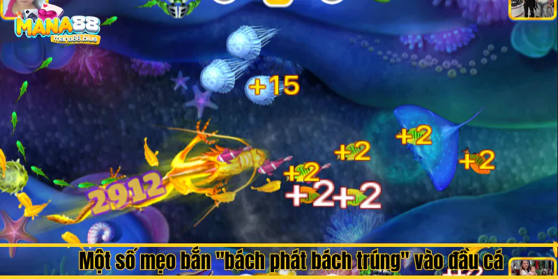Mẹo bắn “bách phát bách trúng” vào đầu cá tại Mana88 2 Một số mẹo bắn "bách phát bách trúng" vào đầu cá